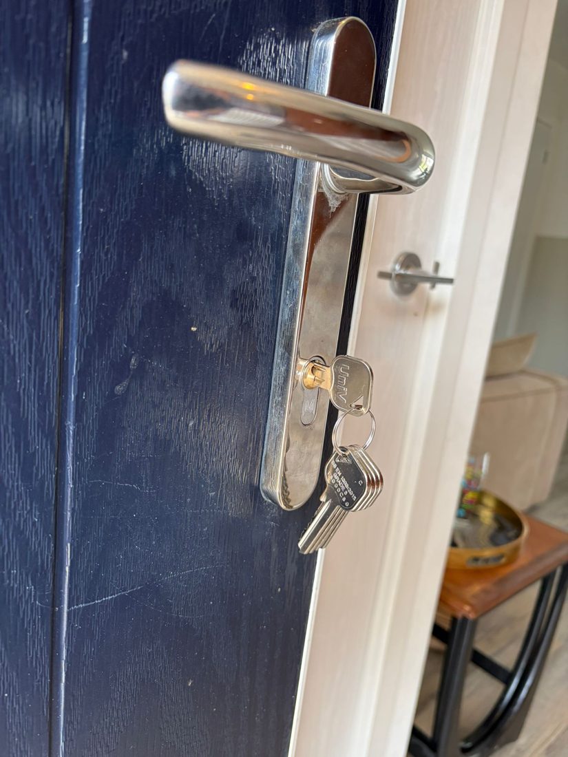 Door hinges and euro replaced — Lock Upgrade by LocksmithLocal