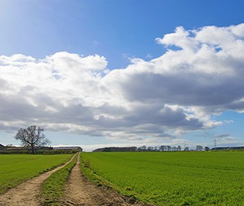 A track running between green fields in the open countryside near Doncaster