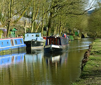 Colourful narrowboats moored on the Rochdale Canal at Mytholmroyd, lined by trees along the towpath