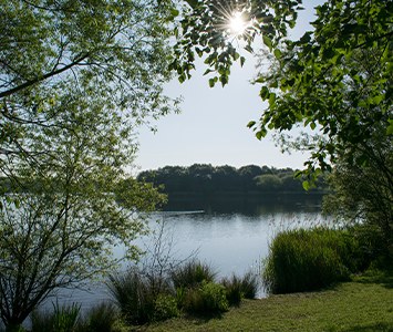 Manvers Lake, a regenerated waterside area in the Dearne Valley near Rotherham