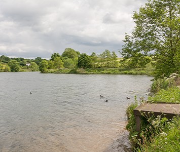 Ulley Reservoir and country park, in the countryside near Rotherham