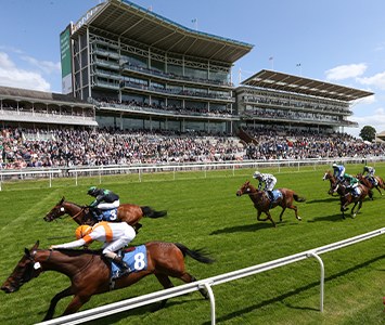 York Racecourse, the historic horse-racing venue on the Knavesmire
